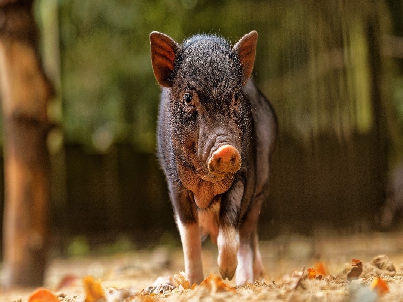 韶关试管婴儿2016（试管失败的玄学）