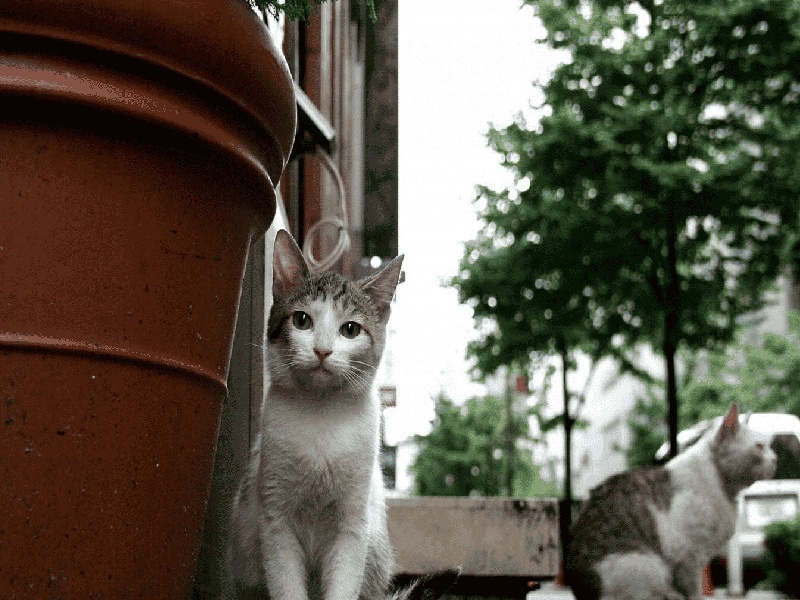 太原试管保胎打hcg（试管加热固体炸裂）